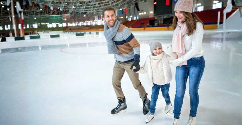 Jardin de glace à la patinoire de Poitiers (86)