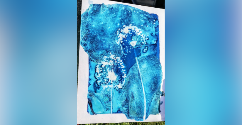 Atelier « Cyanotype : Un voyage photographique » au Musée archéologique de Civaux