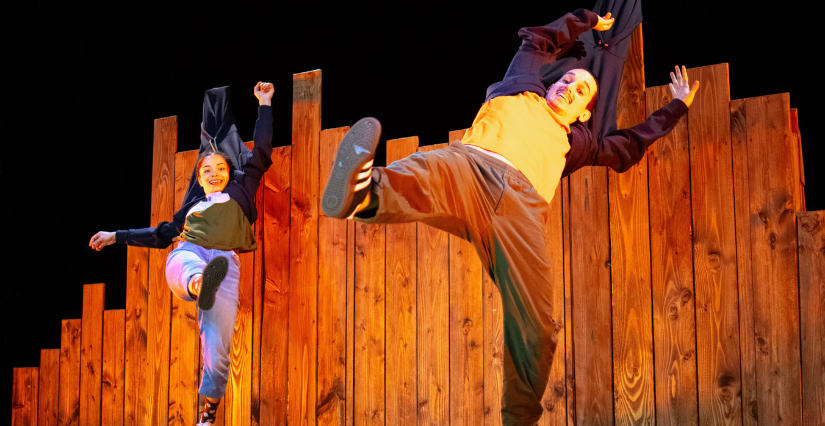 Spectacle de danse "Hi-Fu-Mi" au Moulin du Roc à Niort