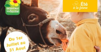 Fêtez l'été à la ferme en famille avec le réseau Bienvenue à la ferme