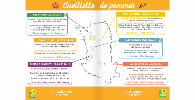 Cueillette de pommes