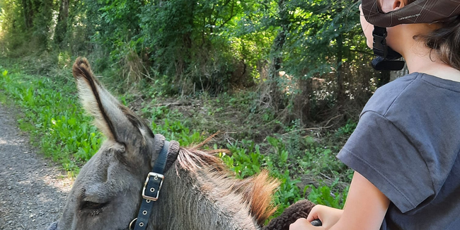 Fêter l'anniversaire de votre enfant avec les ânes de la Ferme du Petit Âge