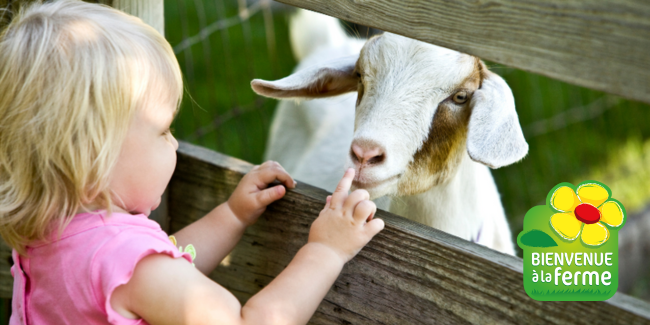 Bienvenue à la ferme, des visites de fermes en famille dans les Deux-Sèvres