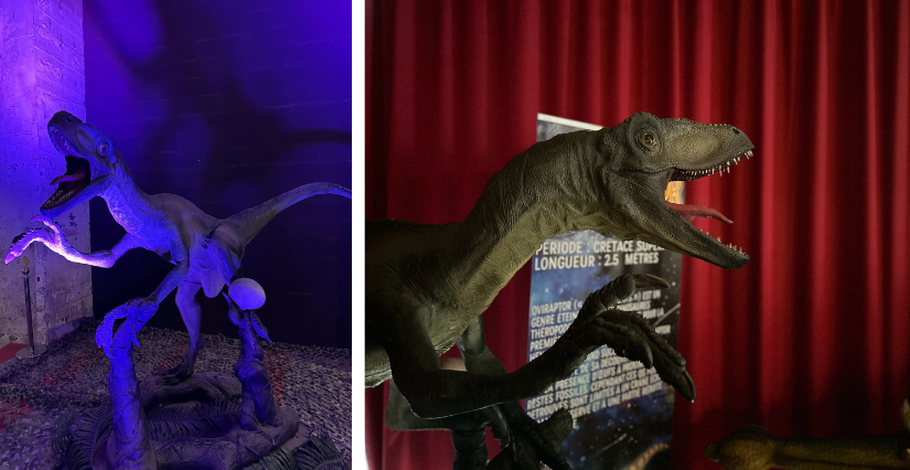"Le règne des dinosaures" : une exposition ludique et pédagogique pour toute la famille