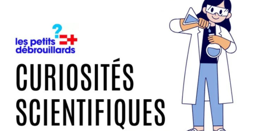 Ateliers curiosités scientifiques dans les médiathèques de Chatellerault