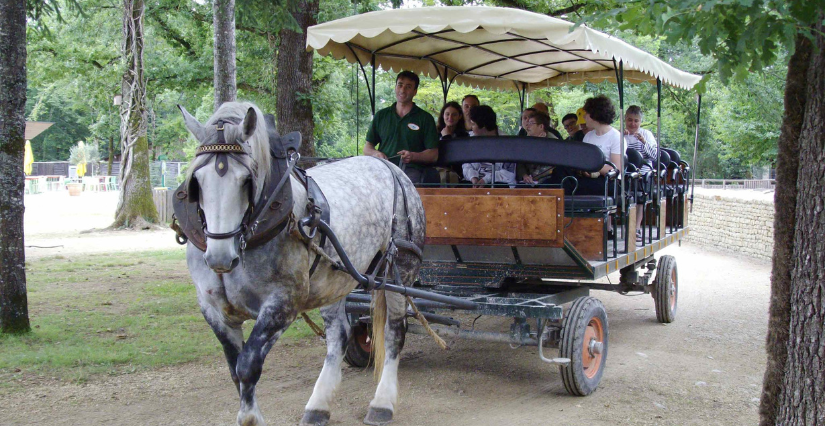© Zoodyssée Découvrez le parc Zoodyssée en calèche !
