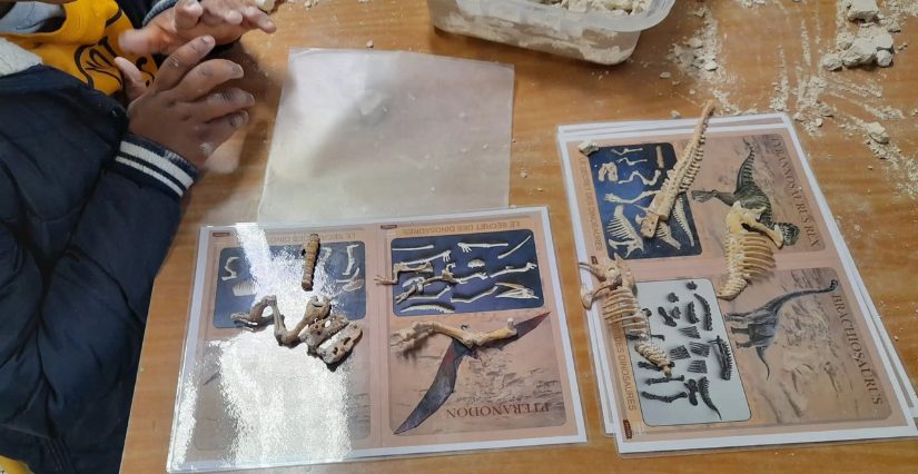 Atelier "Le secret des dinosaures" à l'Espace Mendès-France à Poitiers