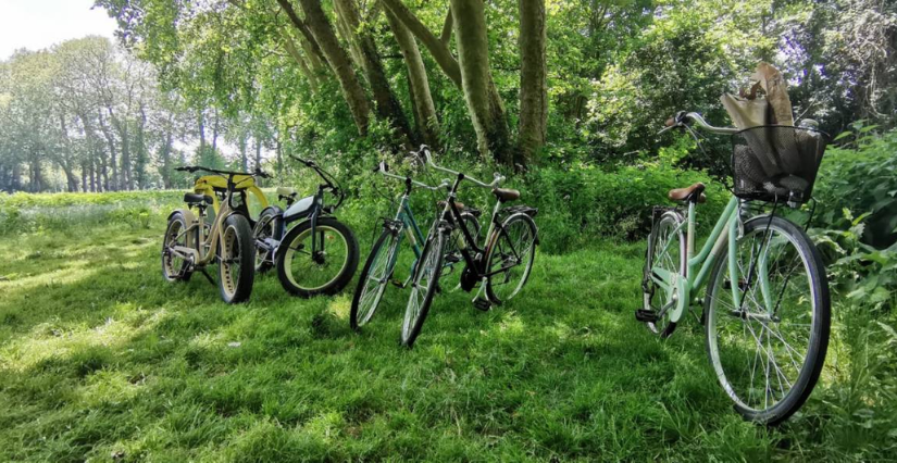 Jeu de piste à vélo dans le Marais poitevin
