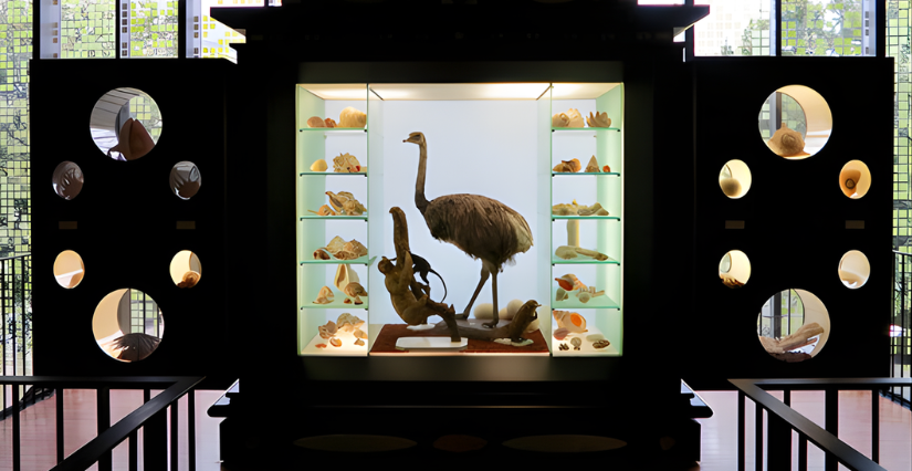 Entrée gratuite dimanche, au musée d'Agesci à Niort