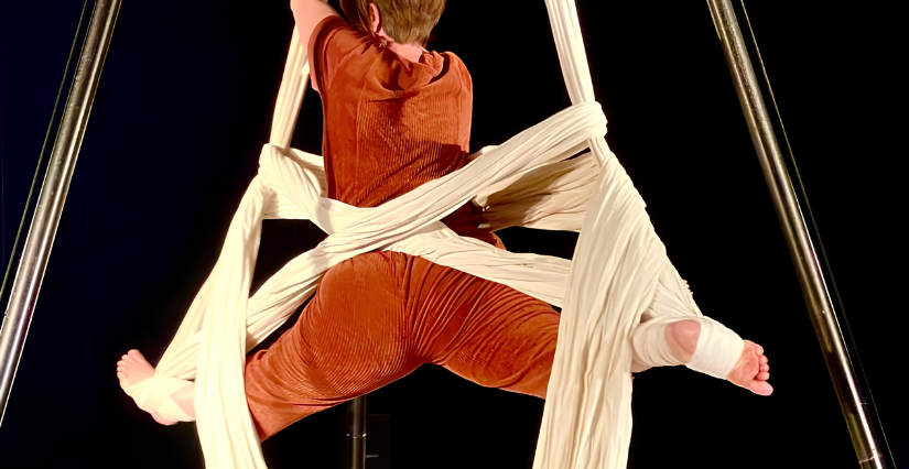 Spectacle de cirque "L'Odyssée"
