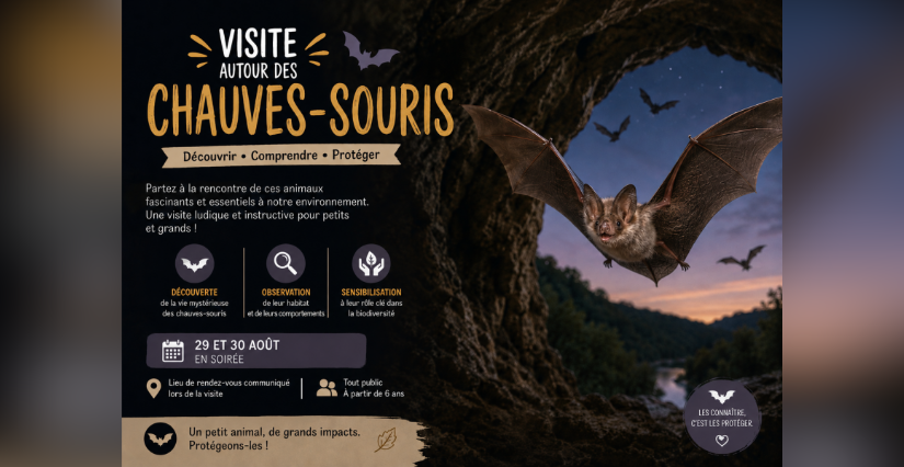 Journée des chauves souris au château du Coudray-Salbart à Échiré