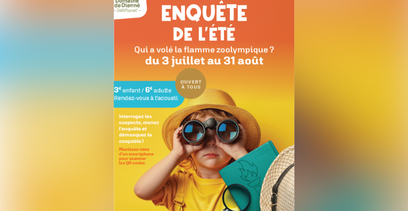 Enquête de l'été chez Défiplanet à Dienné