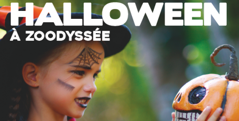 Halloween à Zoodyssée // en famille // Villiers-en-Bois