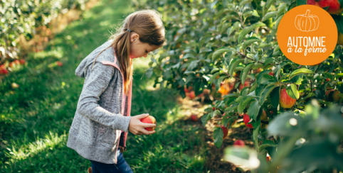 Cueillette en famille avec Les Fruits de Clazay, l'Automne à la ferme en Deux-Sèvres