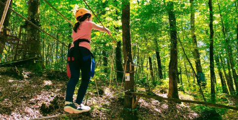 Fun Forest