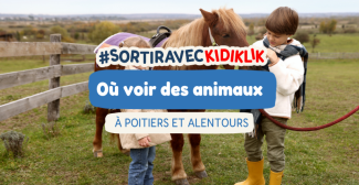 Où voir des animaux à Poitiers et aux alentours ?